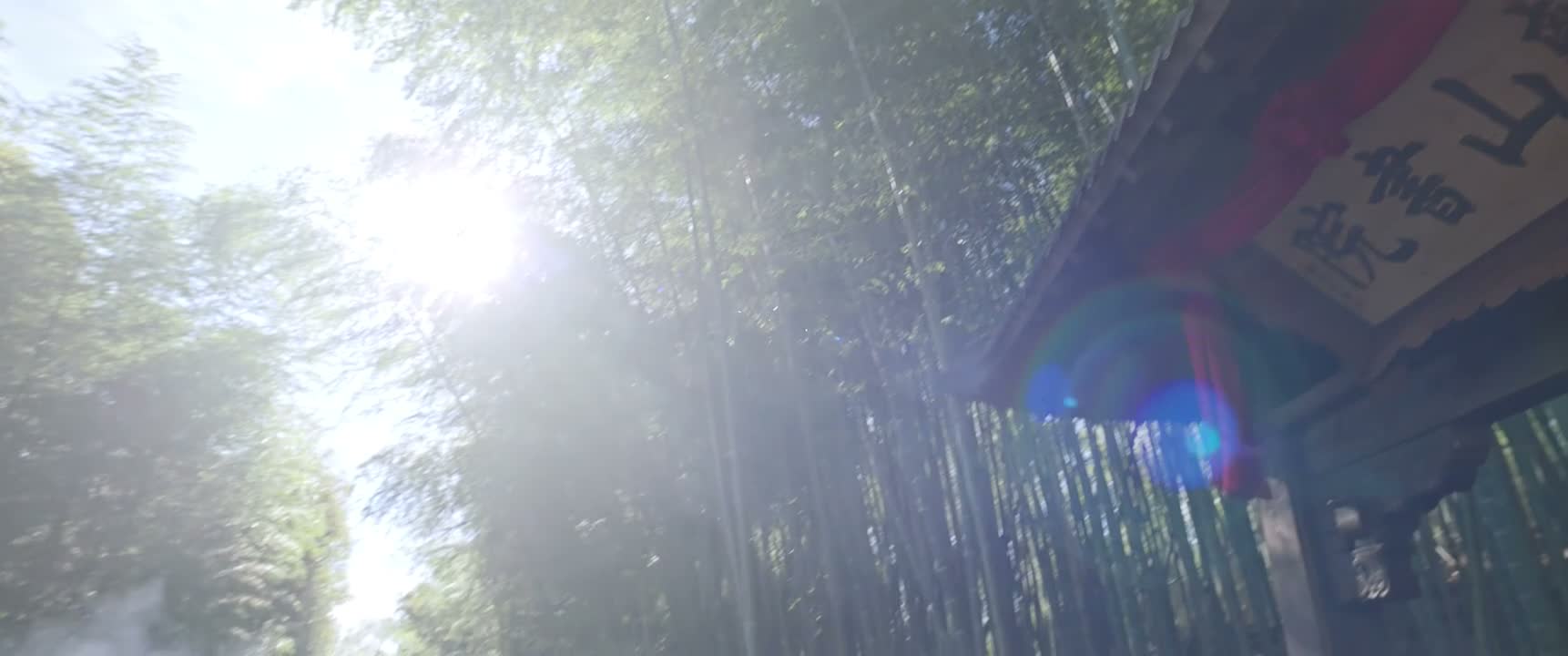 你看 这是什么