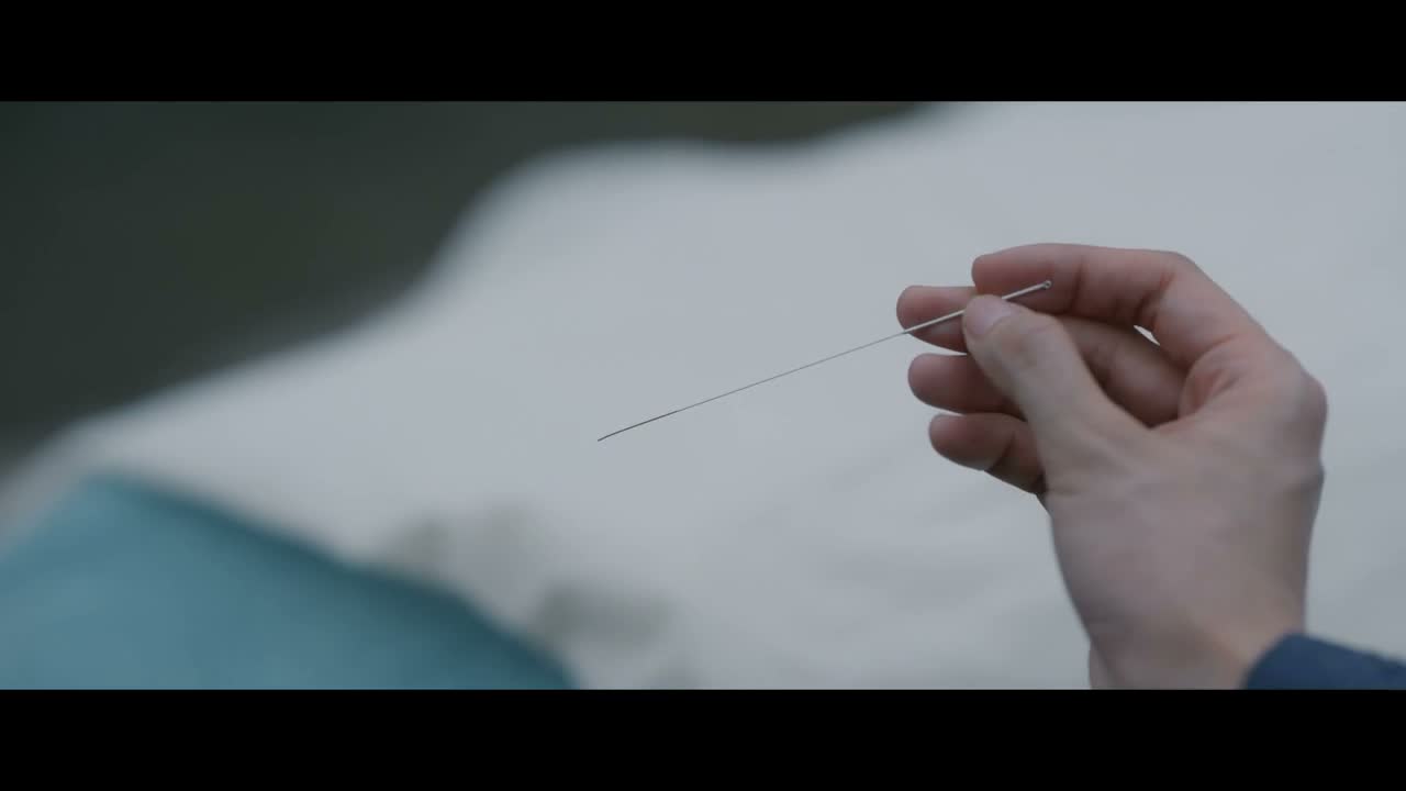 所以引得蝙蝠狂性大发 玲珑草?