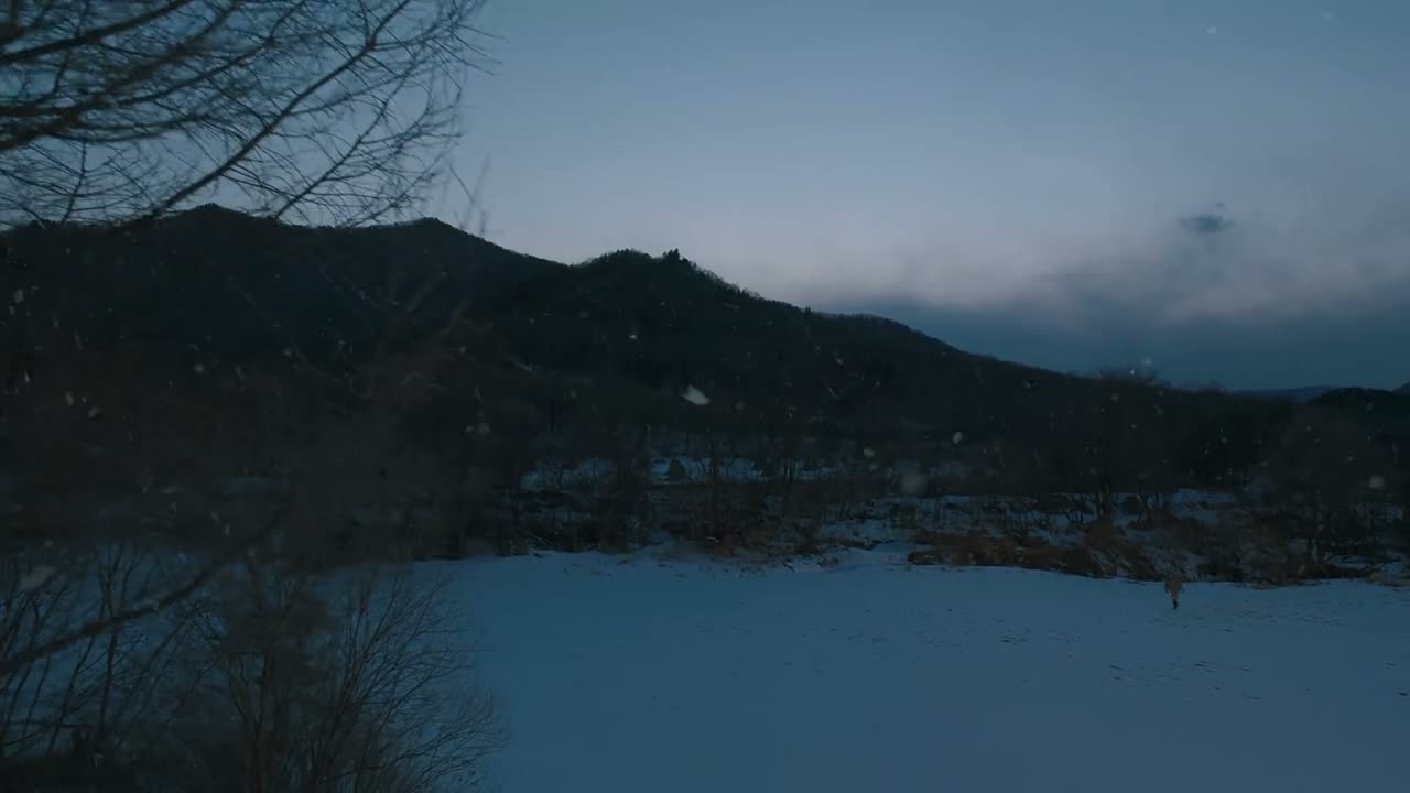 什么科技元年啊
