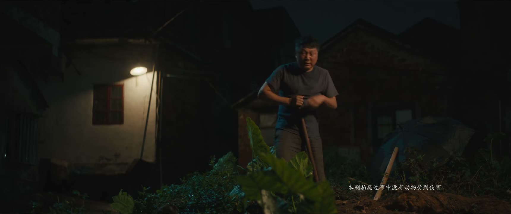 今天吃耗子药死了