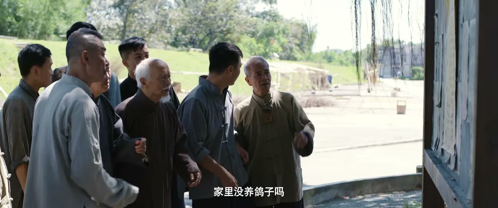 家里没养鸽子吗