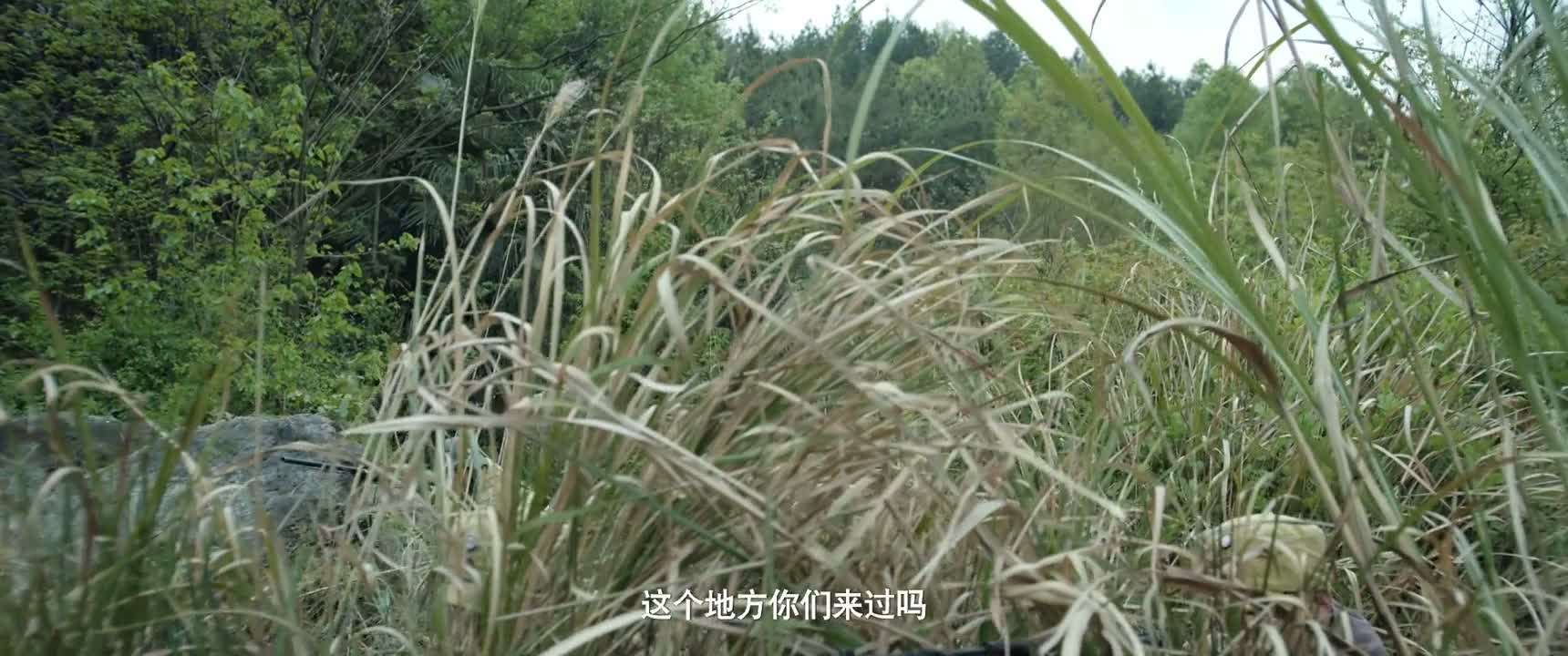 这个地方你们来过吗