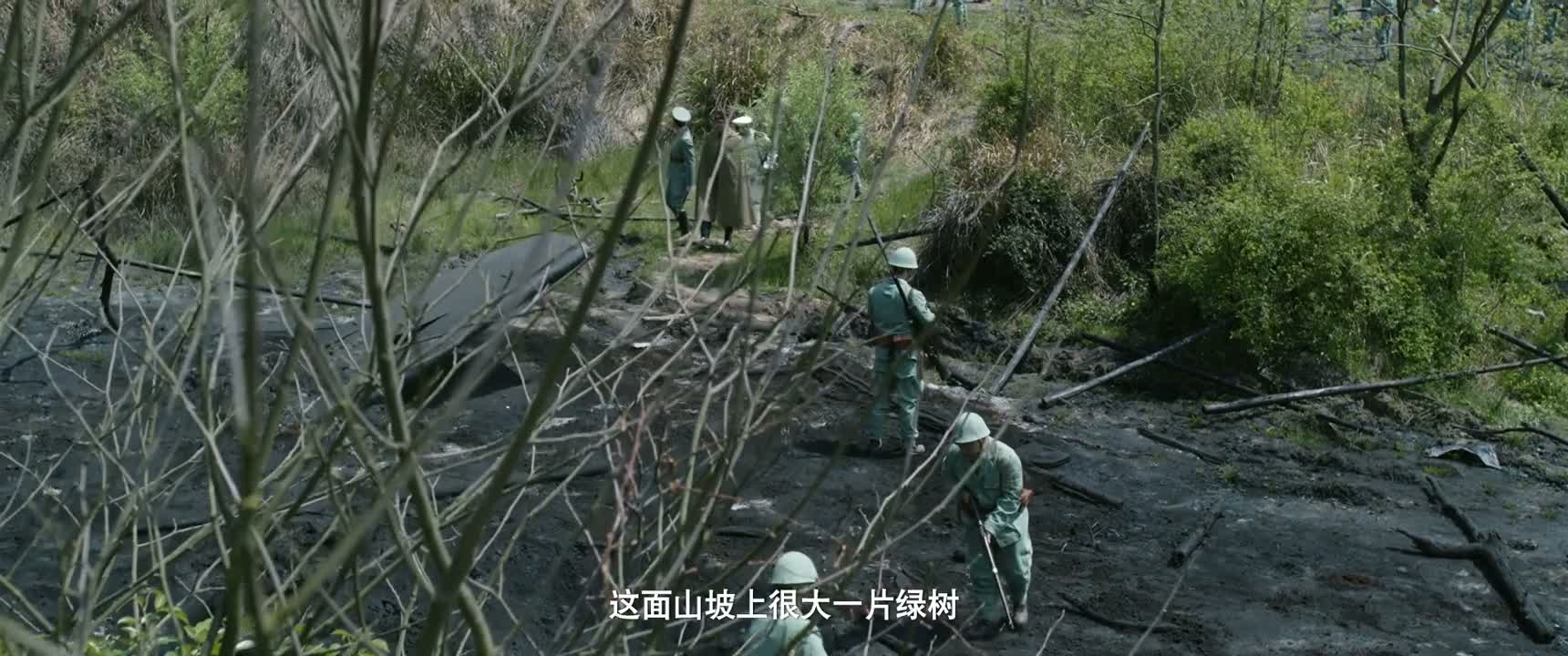 这面山坡上很大一片绿树
