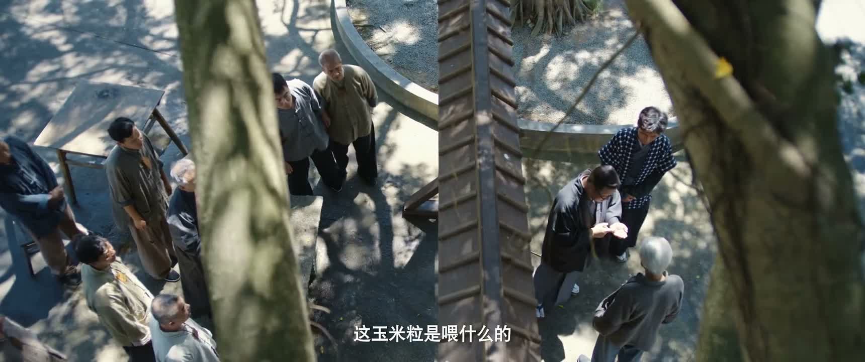 这玉米粒是喂什么的