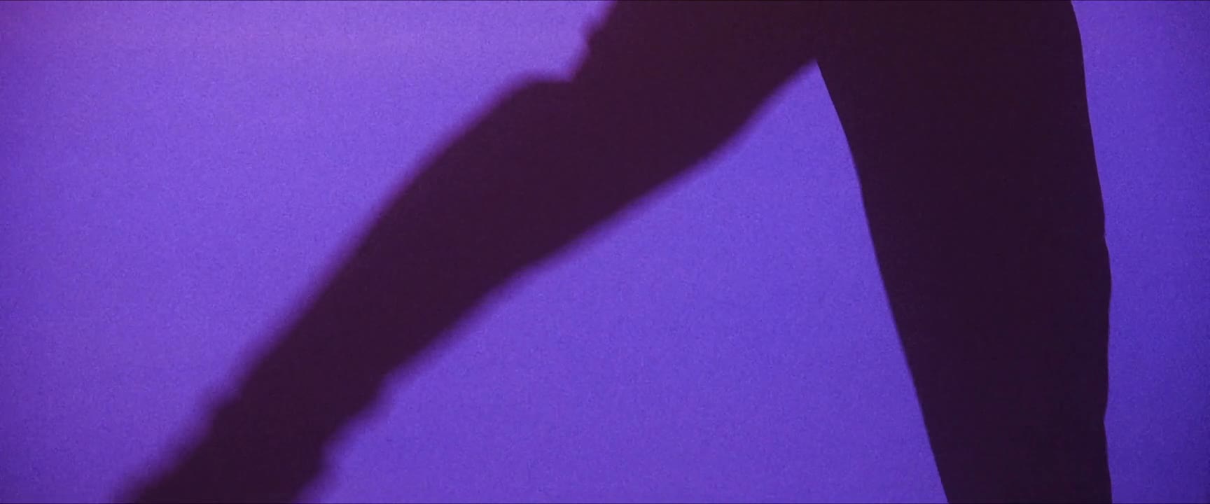 你这么久了去哪里了