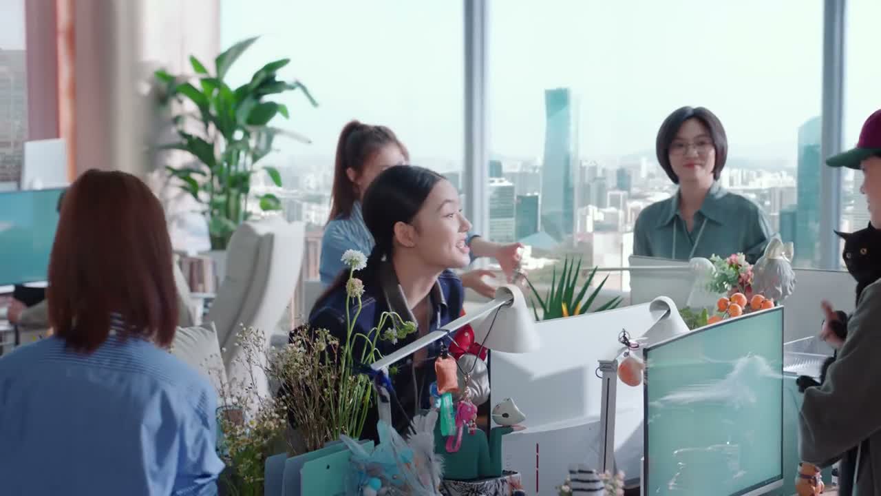 这是你的猫吗 这是公司的猫 印堂