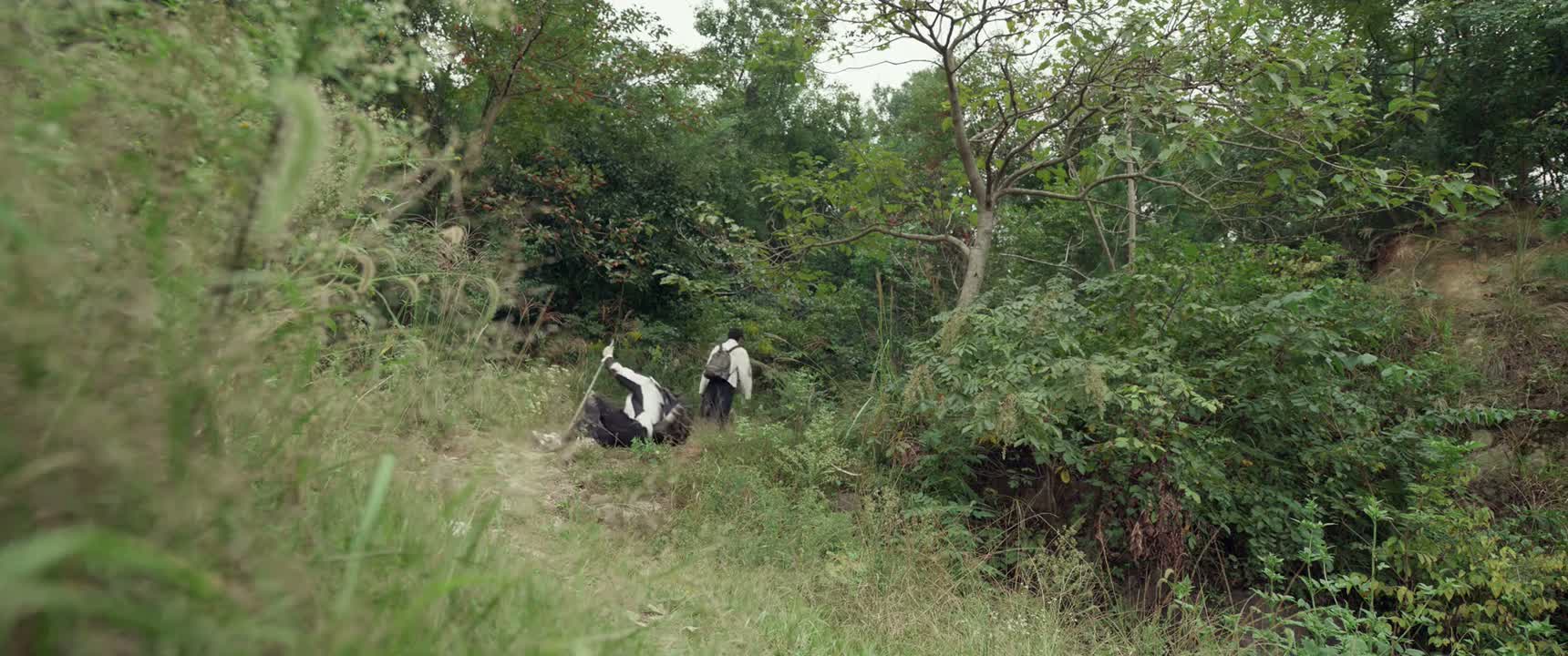 你怎么还放不下呢