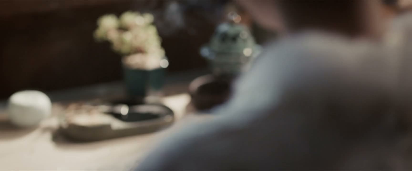 若见雁南渡