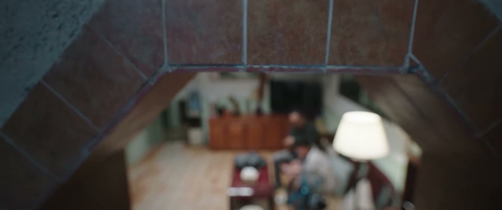 电视上不就能看到