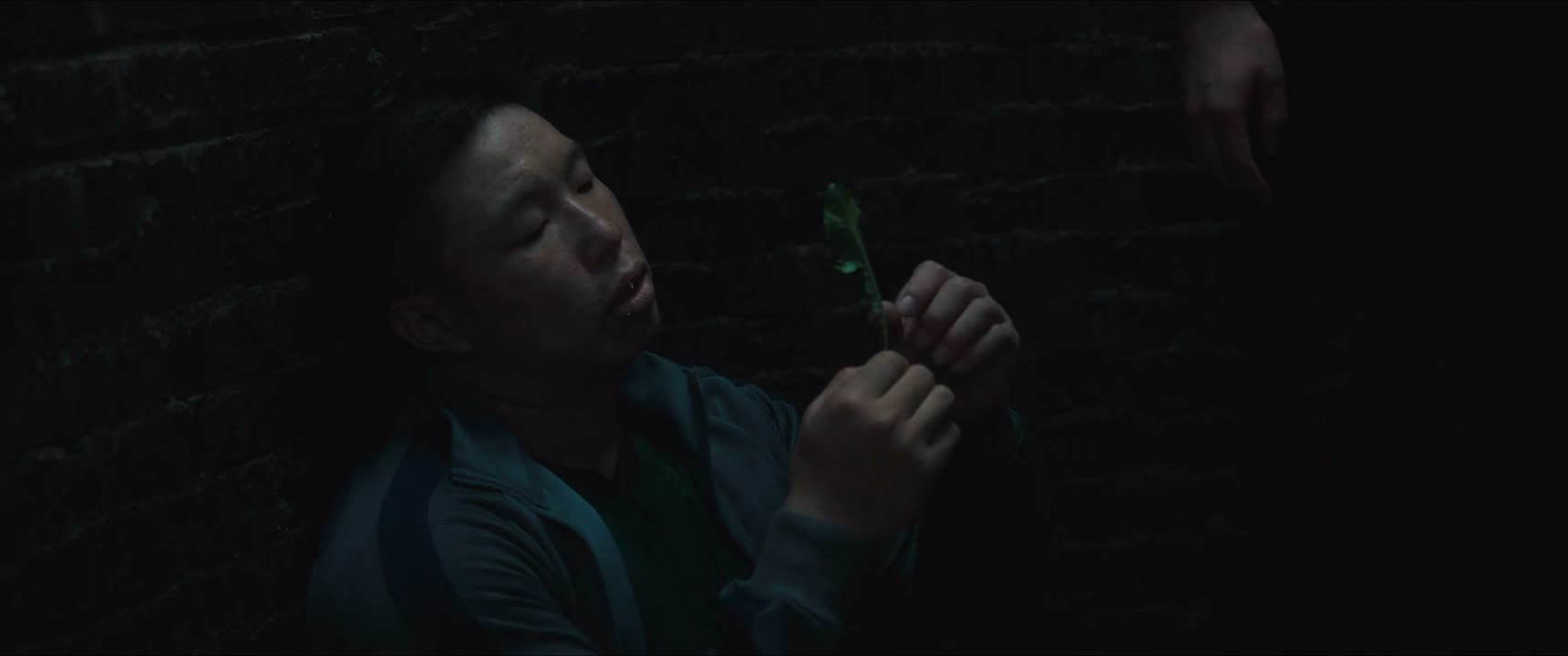你吃叶子 我吃杆