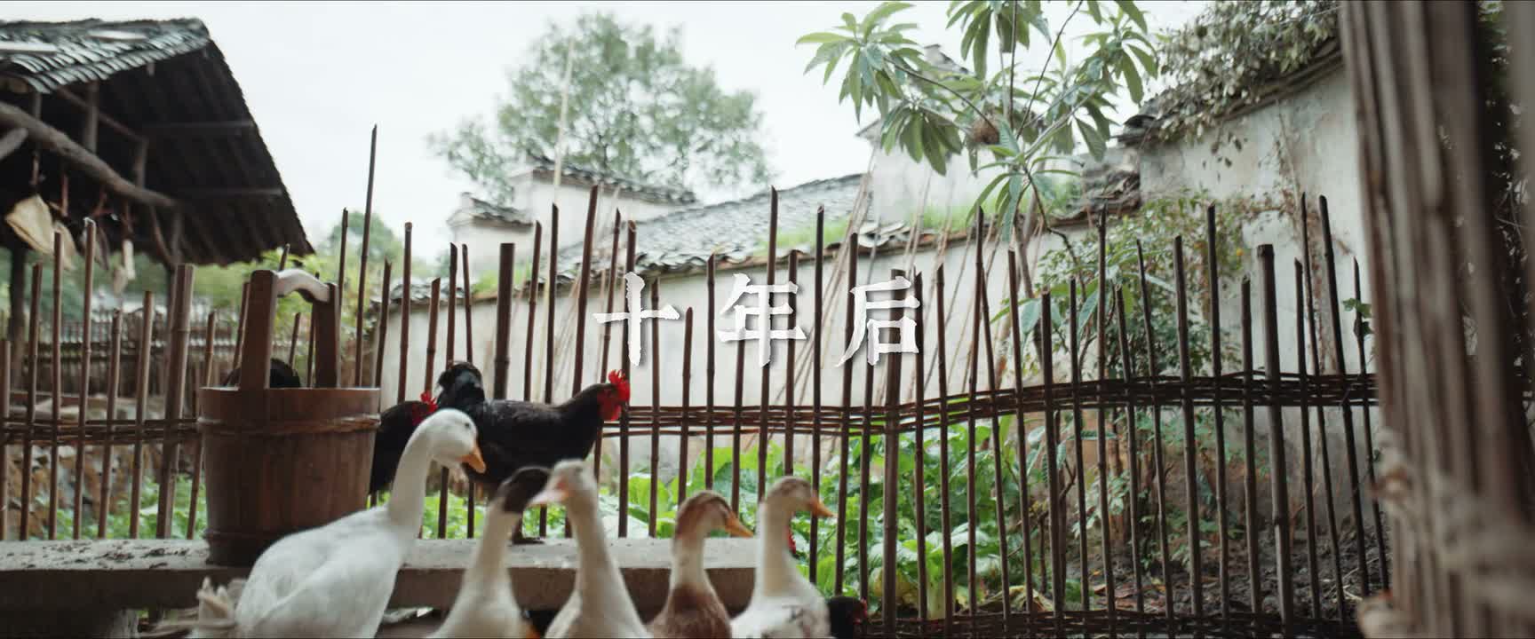祯娘 起来了没