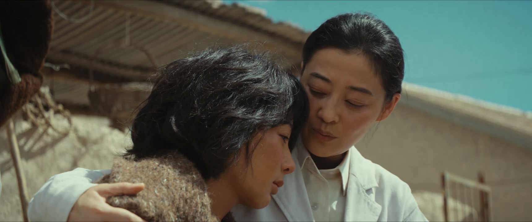 我现在就是你妈