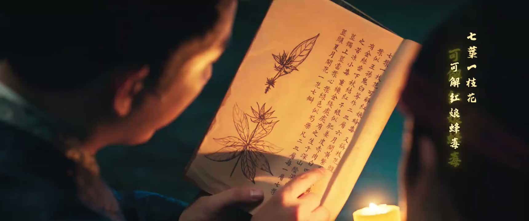 好在努力没有白费