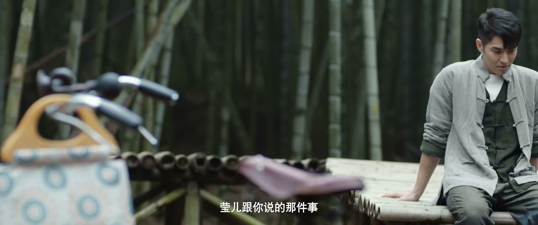 莹儿跟你说的那件事