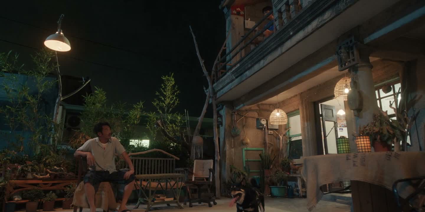 每天失魂落魄 发神经