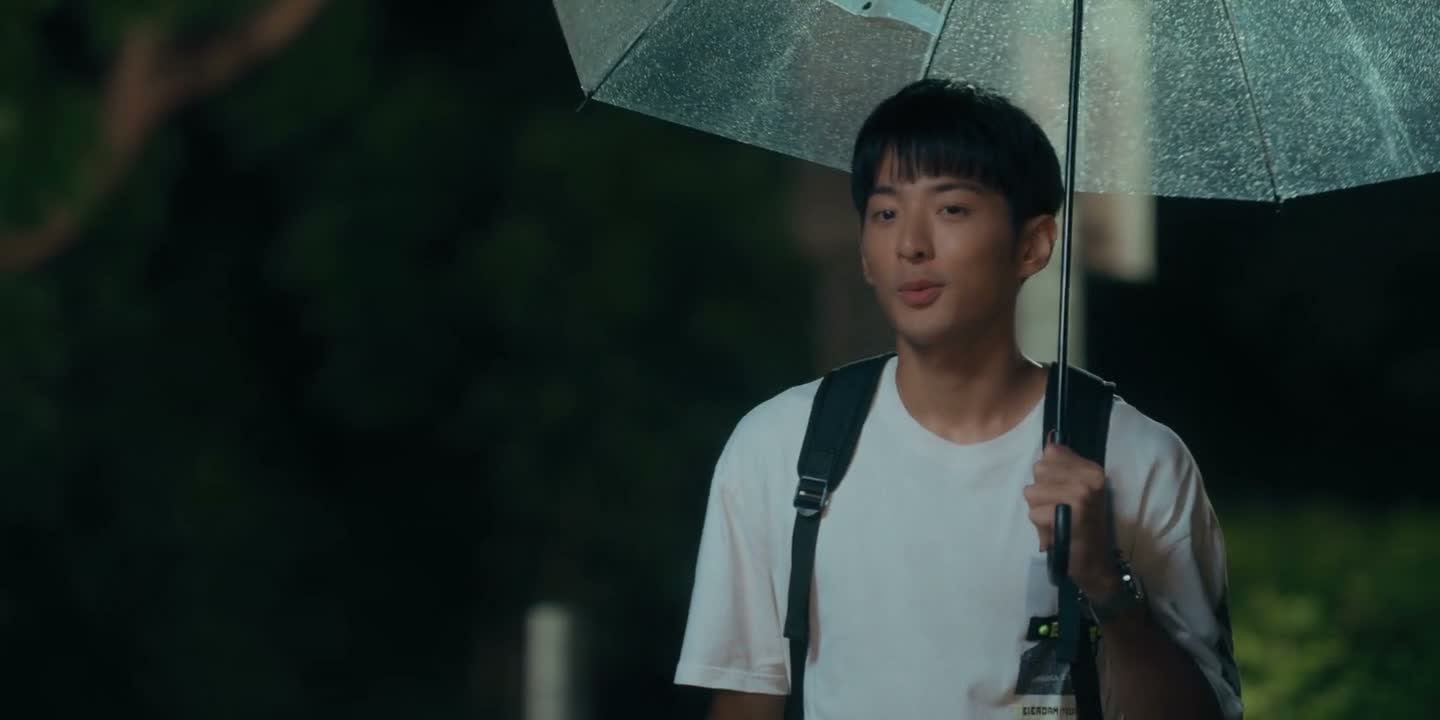 我很久没有来本岛了