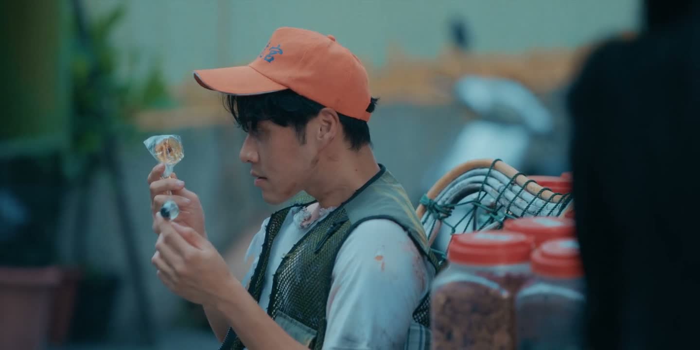 一只喜欢和美人鱼交朋友的海龟