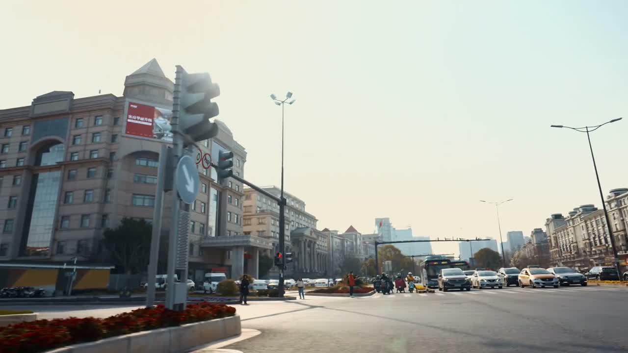 鸡飞狗跳地争相表演