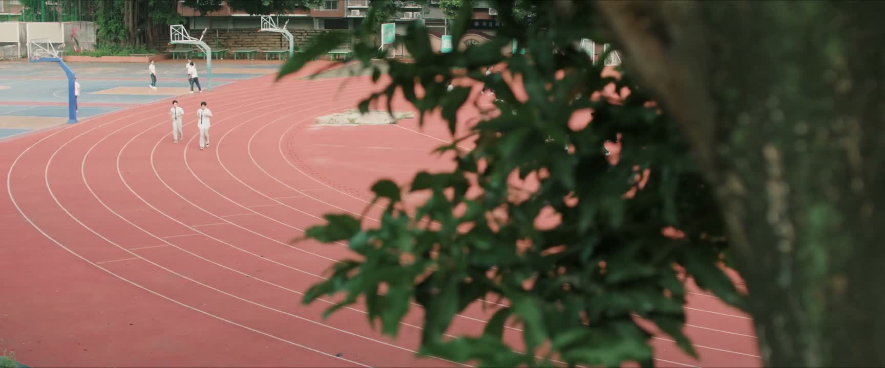 你说金老师为什么不相信我们呢 你是真蠢