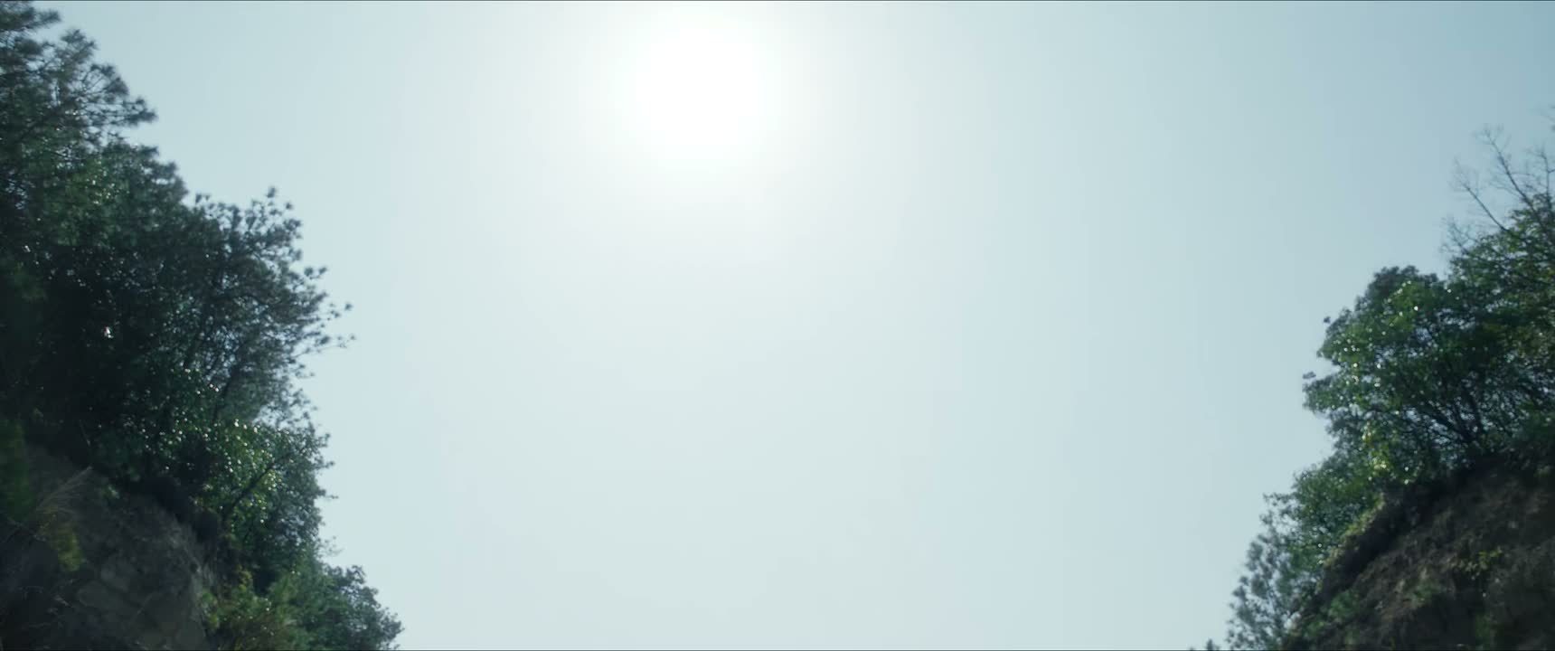 举国同悲