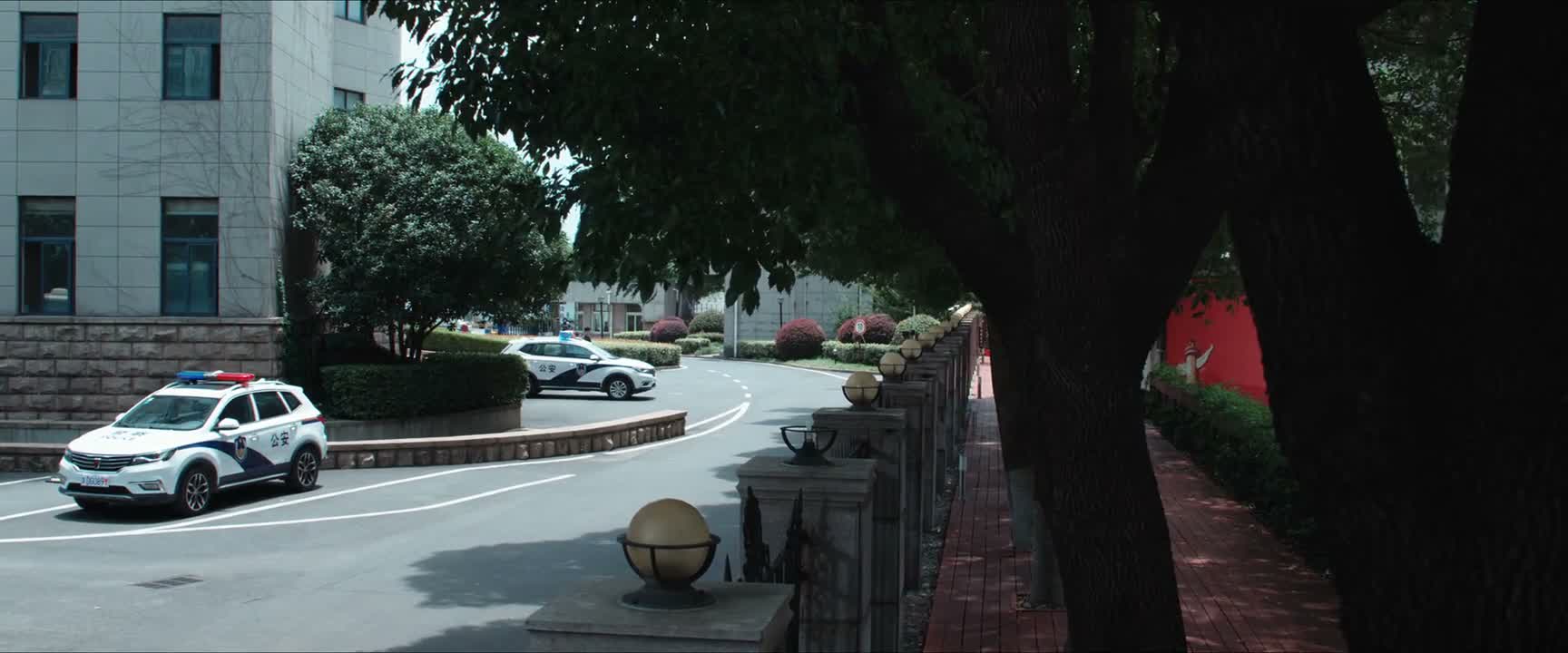 听说他为了拦你的车 差点掉下山去