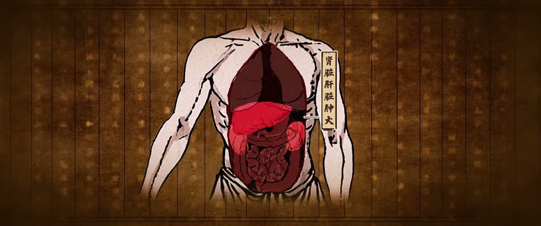 肾脏肝脏肿大
