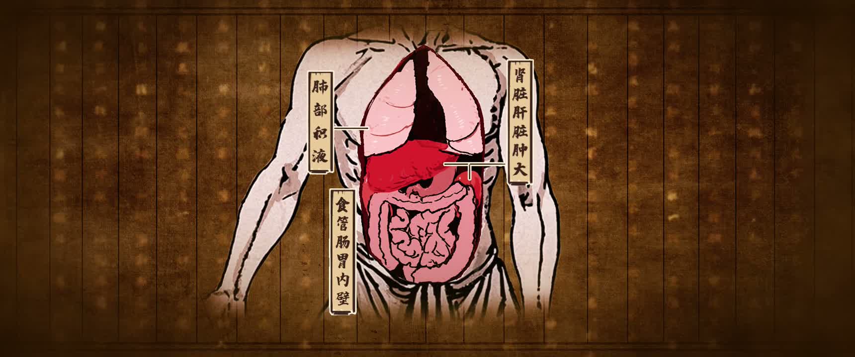 食管和肠胃内壁均有异常的溃烂