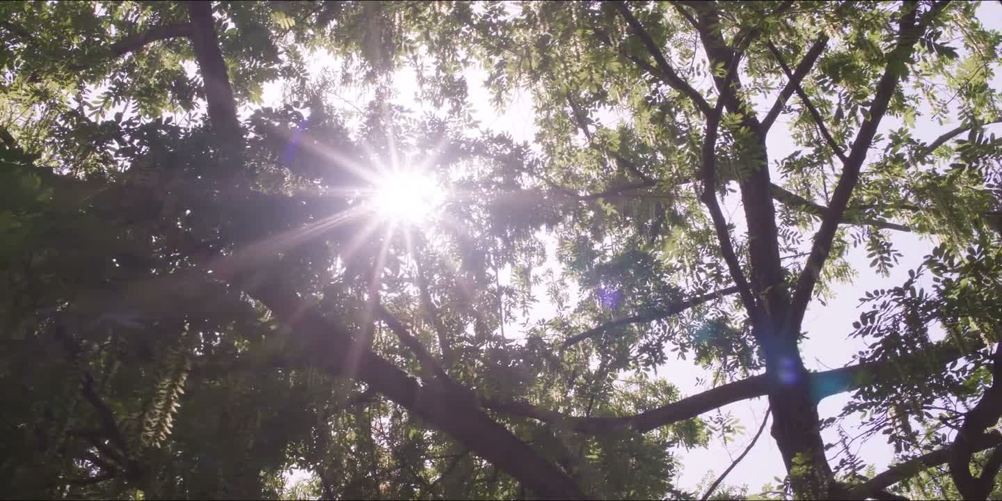老衲感谢三爷