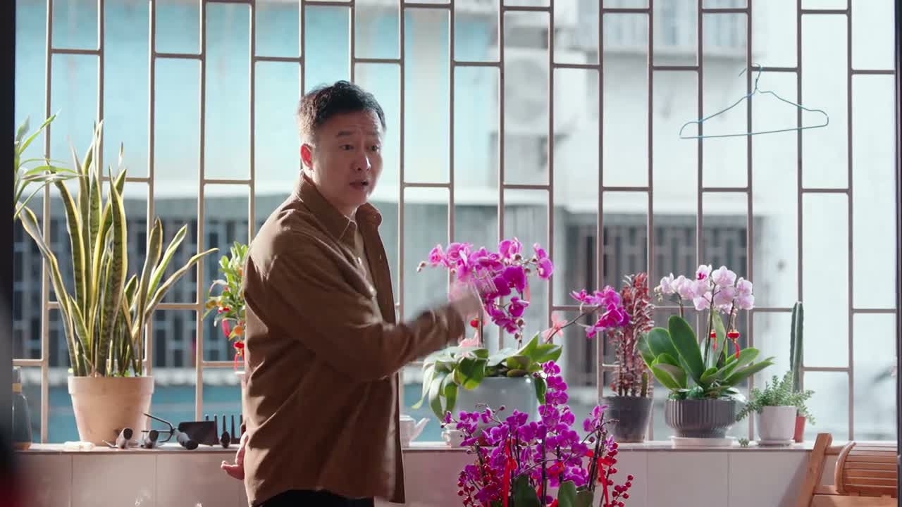 谁做老葛工作呀这是