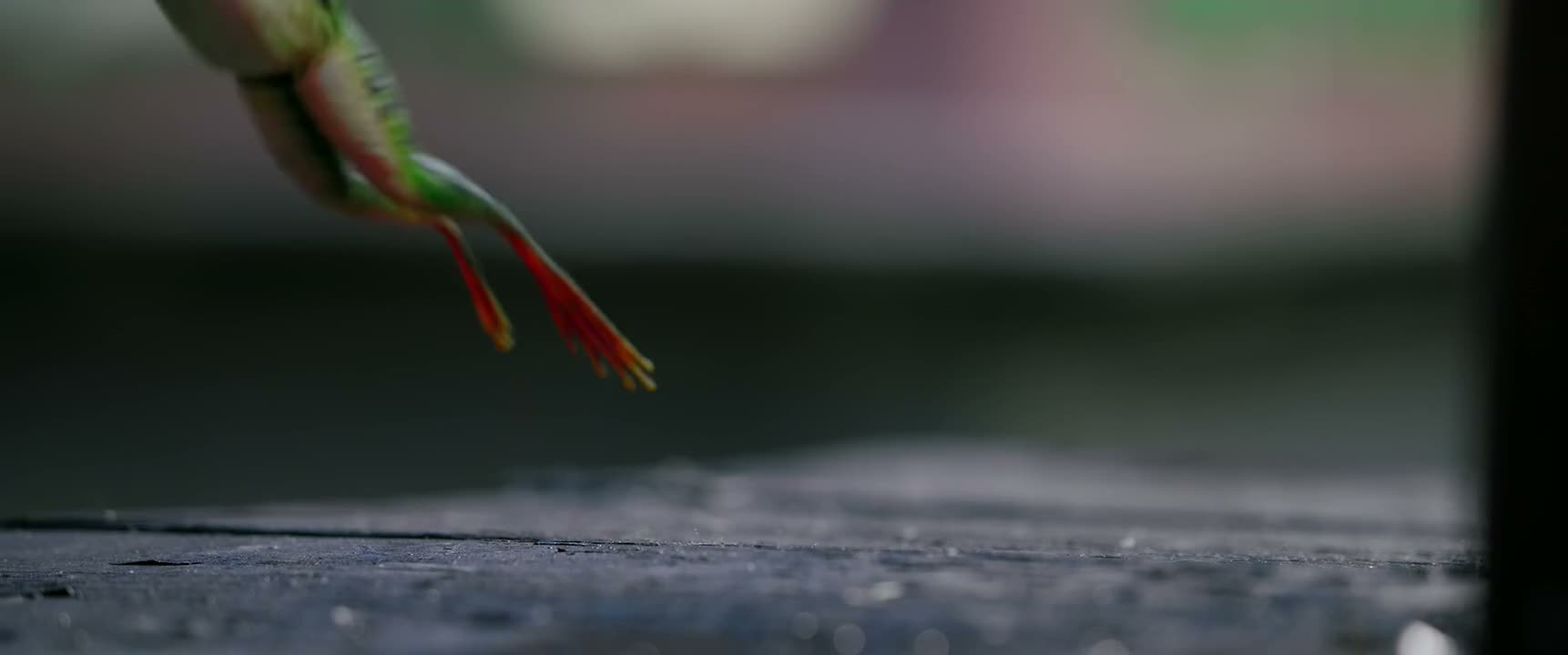 不对 我为什么要跟蛤蟆比