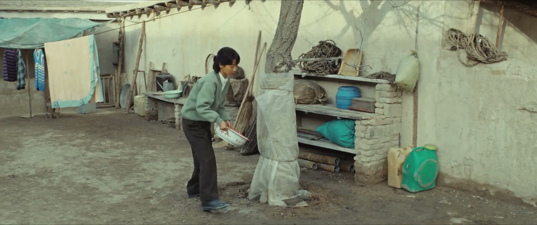 什么点了 你还浇水
