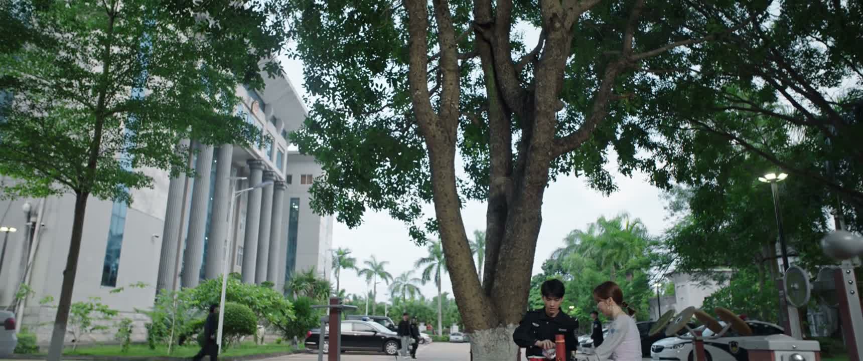 这个 这也太多了