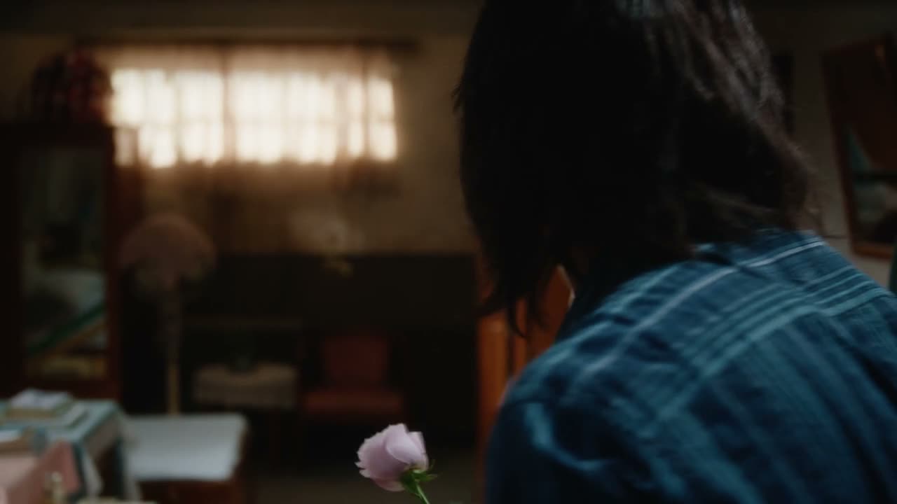 对 一会儿你就回去就行了