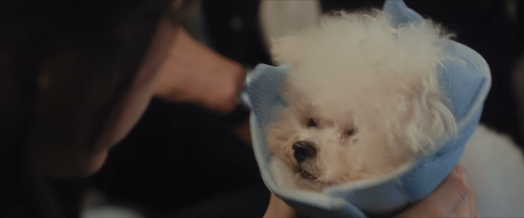 小白乖啊 快 姐姐看看你的伤口