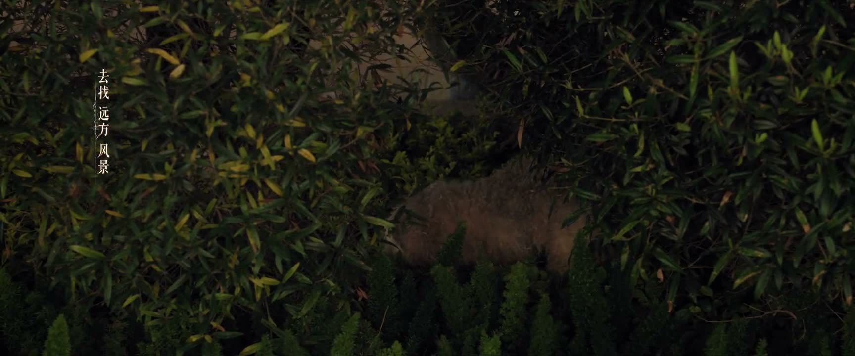 这么脏 不能吃