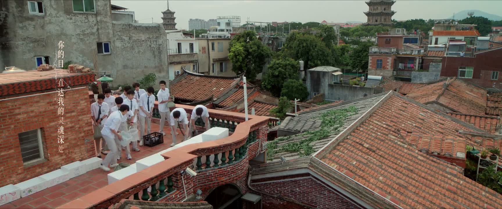 走走走 先把土倒进去