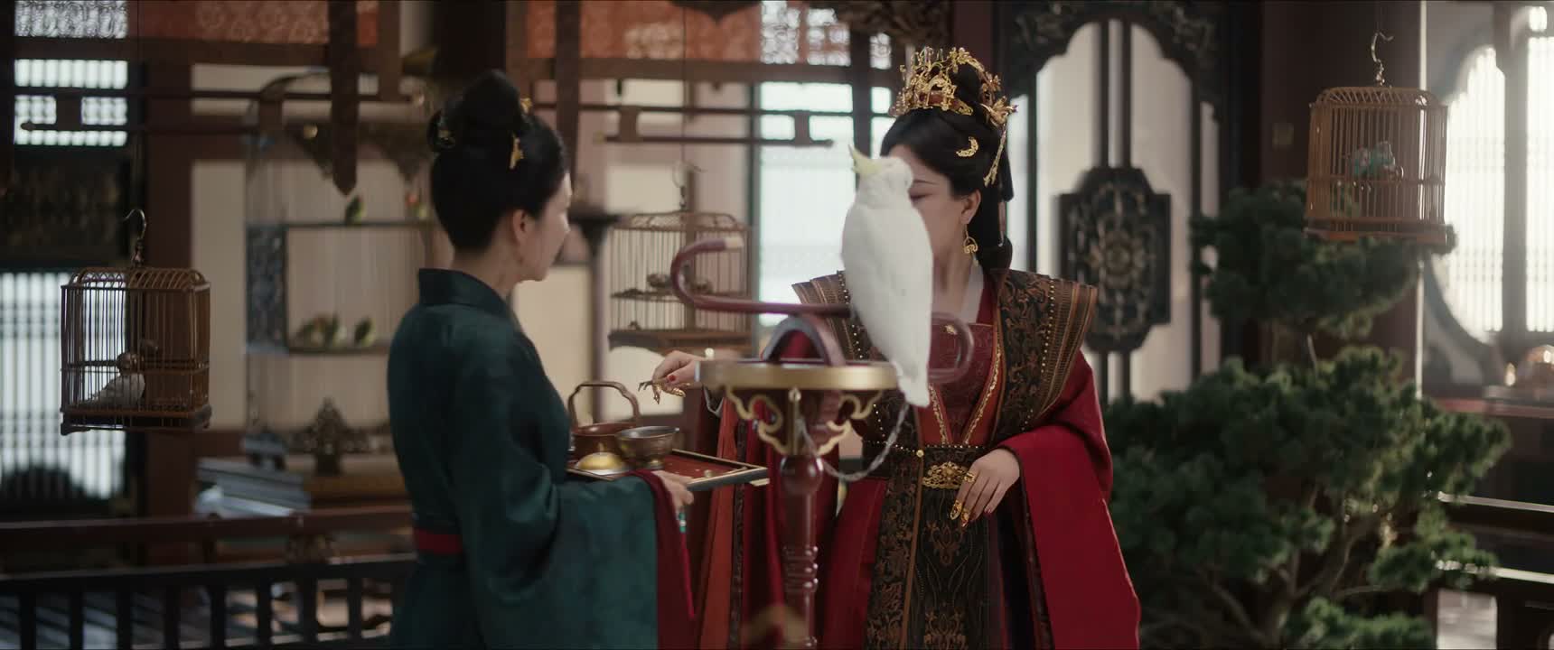 他呀 知道自己是个傀儡