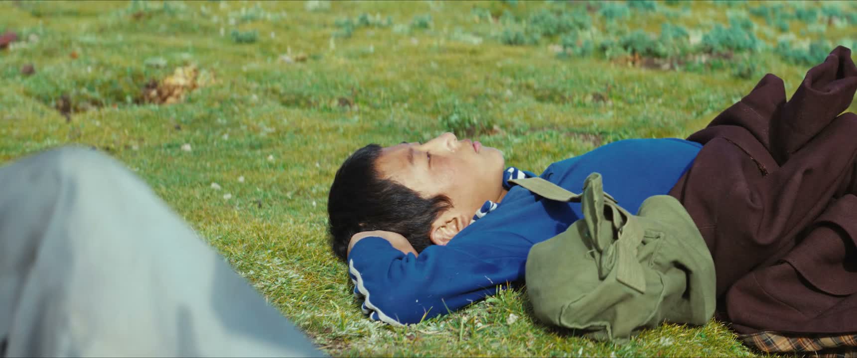 干吗问我 你也是