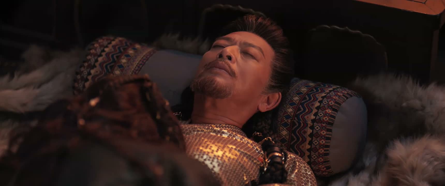 您就抛下儿子和南赵子民先走了
