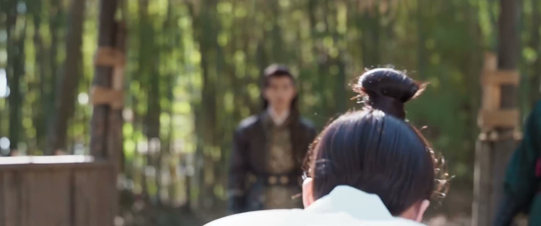 用命换回了王爷和景翊的清白