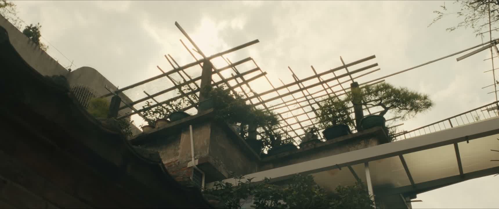 脑子是不是进水了你