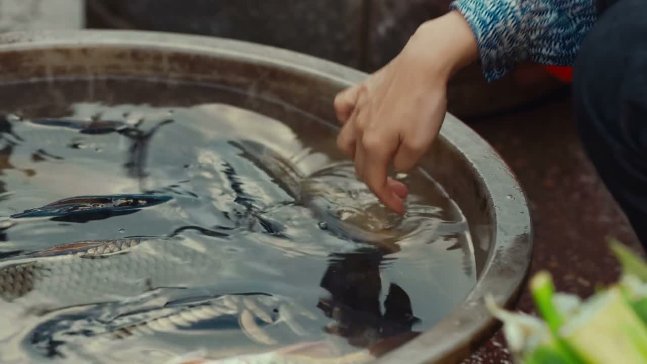 那咋都蔫儿蔫儿的呢