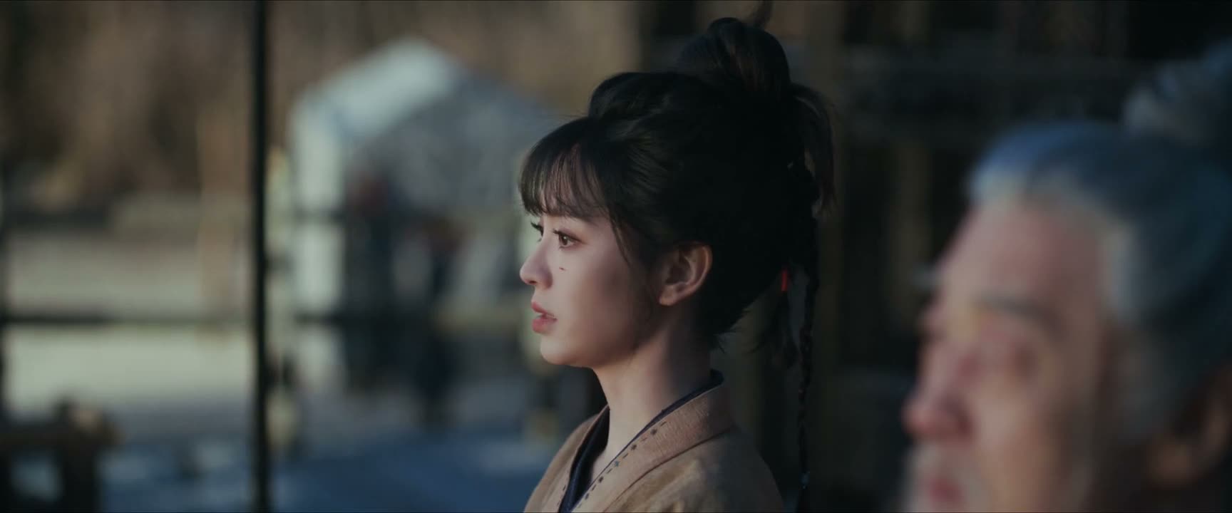 想起无辜的林安百姓