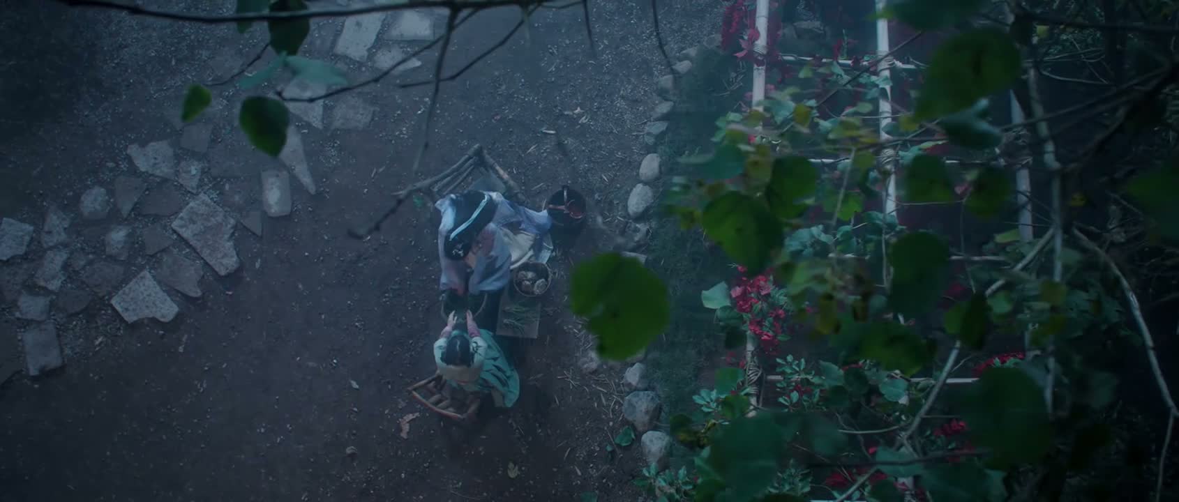 用带来的花种