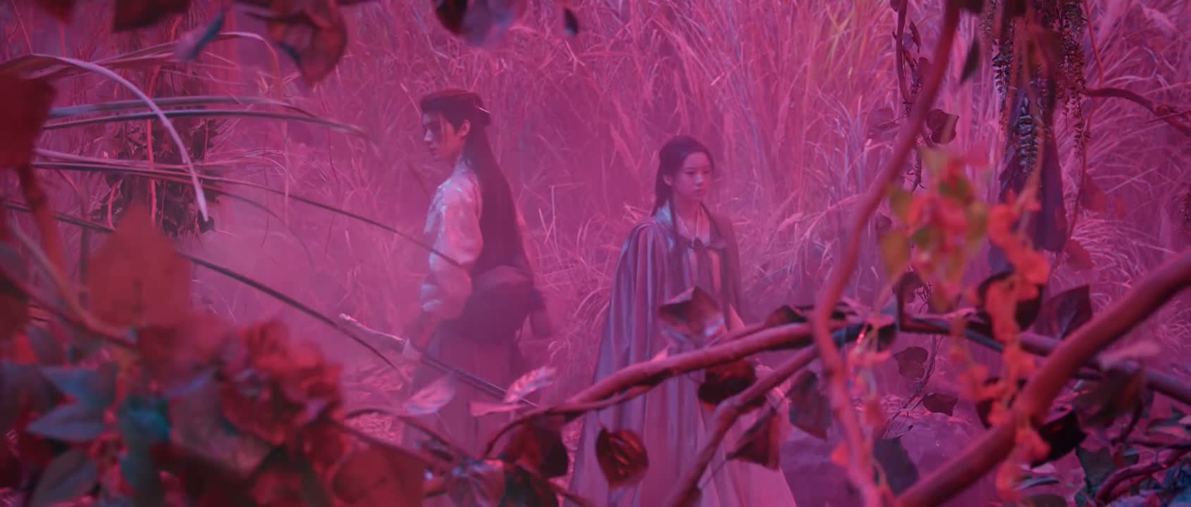 怎么是条死路