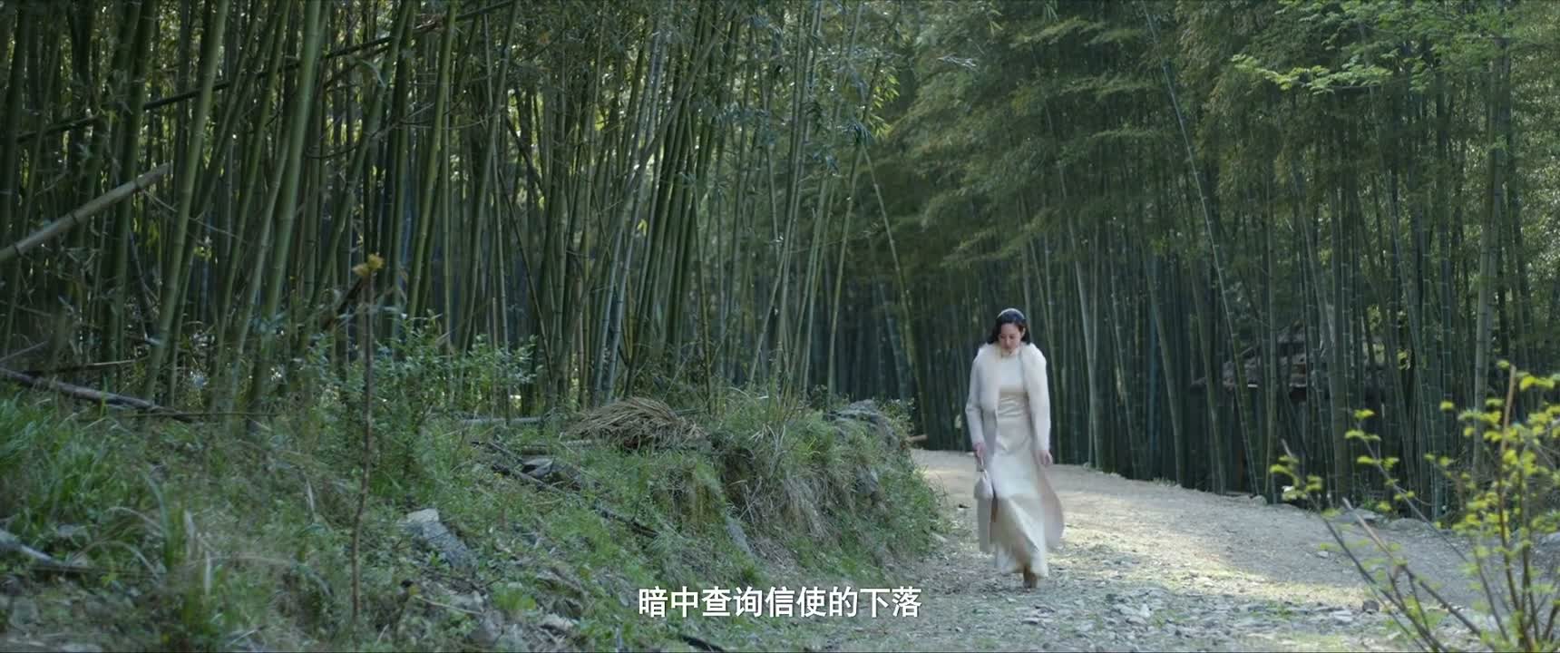 暗中查询信使的下落