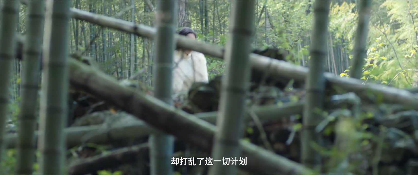 却打乱了这一切计划