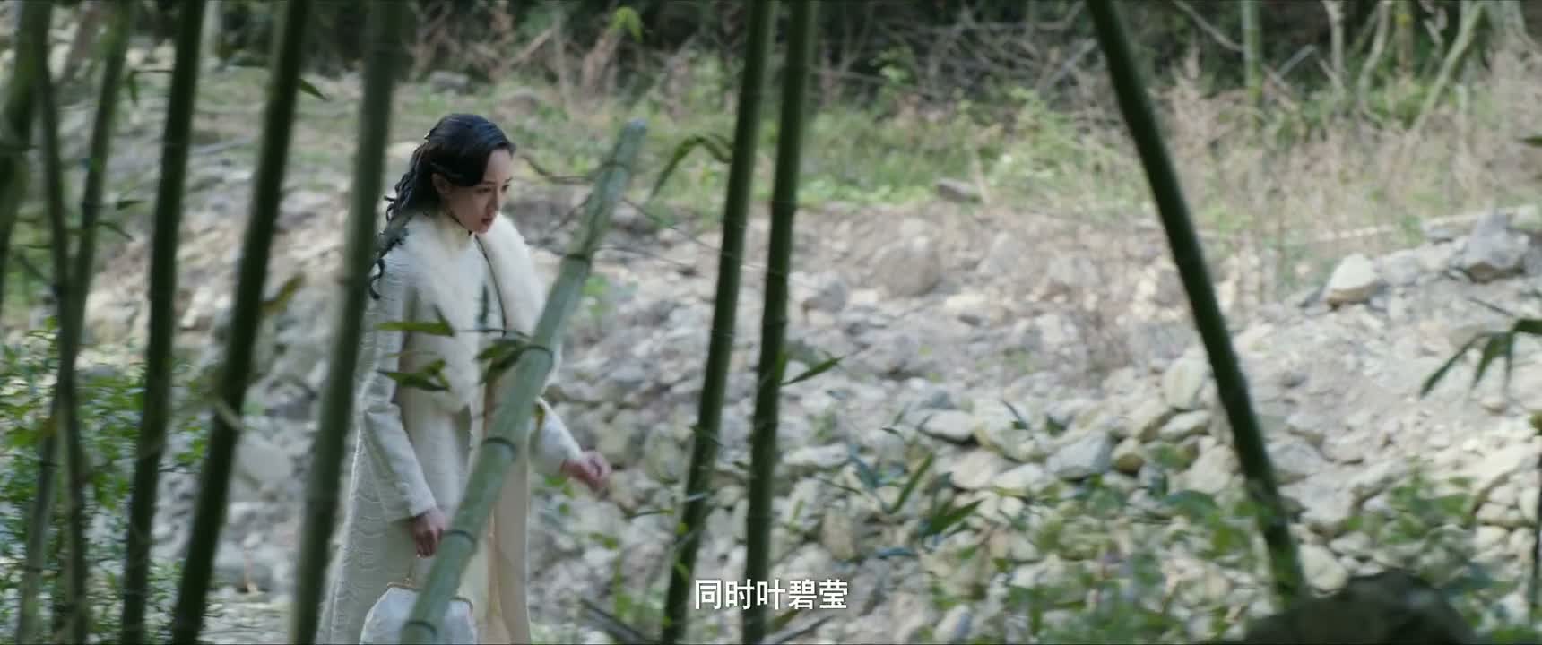 同时叶碧莹