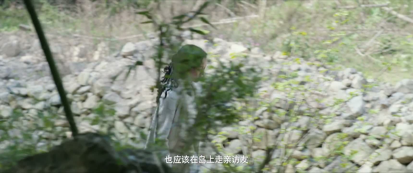 也应该在岛上走亲访友