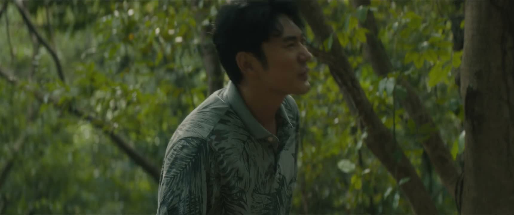 别躲了 出来吧